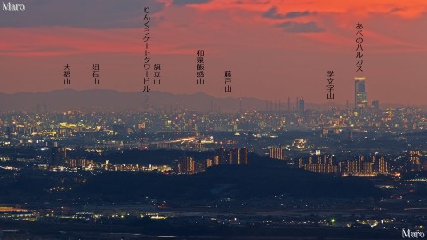 日野岳から「あべのハルカス」と「りんくうゲートタワービル」を望む 2014年1月
