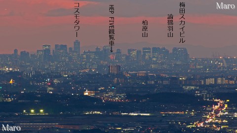 日野岳「パノラマ岩」から大阪の高層ビル群、淡路島南部の山々を望む 2014年1月