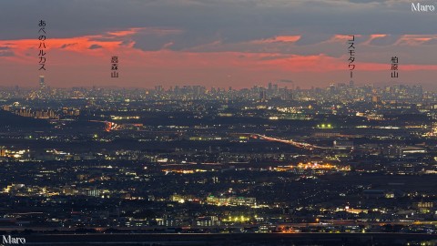 日野岳（日野山）から大阪の夜景と「あべのハルカス」を望む 2014年1月