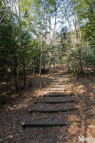 神山の登山口 立命館大学柊野総合グラウンド付近 2014年2月