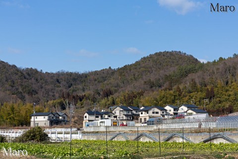 神山（こうやま）を柊野から望む 京都市北区上賀茂 2014年2月
