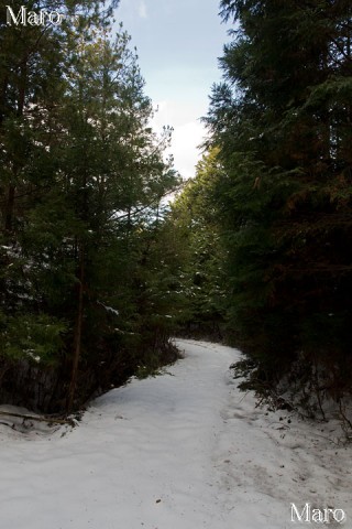 鷲峰山 北面（宇治田原町側）の積雪状況 2014年2月