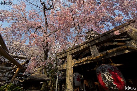 雨宝院