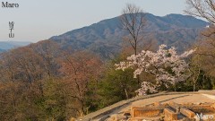 大文字山の火床からサクラと比叡山、皆子山を望む 京都市 2014年4月