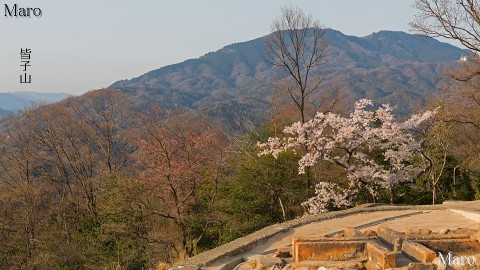 大文字山の火床からサクラと比叡山、皆子山を望む 京都市 2014年4月