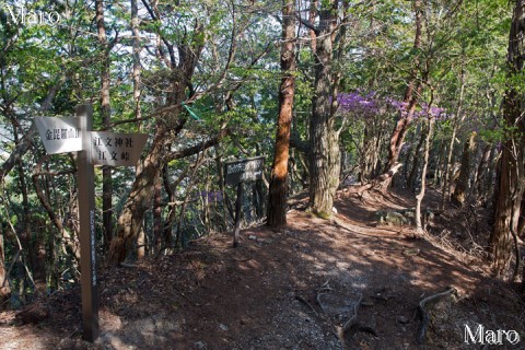 ロッククライミングゲレンデ岐れ 新しい道標 ←金毘羅山 ↓江文峠 2014年4月