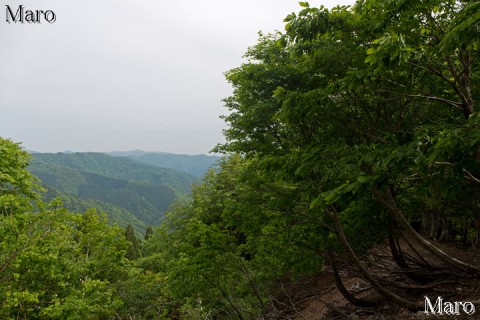 新緑眩しい北山の尾根を歩く 京都府 2014年5月