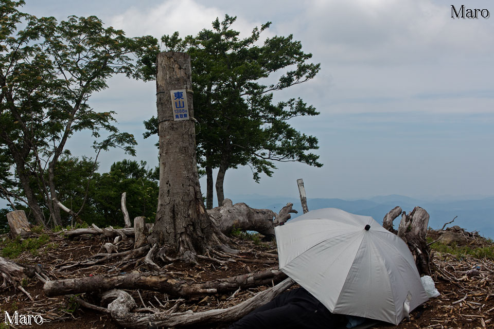 東山（とうせん）の山頂 標高1388.0m 中国山地東部 鳥取県 2014年6月