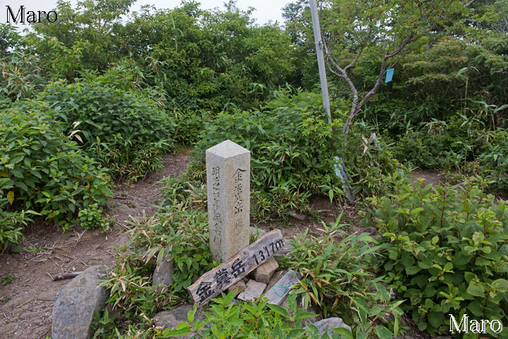 金糞岳の山頂 標高1317m 滋賀県で2番目に高い山 長浜市、揖斐川町