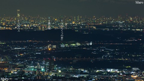 大文字山から「あべのハルカス」、通天閣、大観覧車「りんくうの星」などを望む 2014年8月