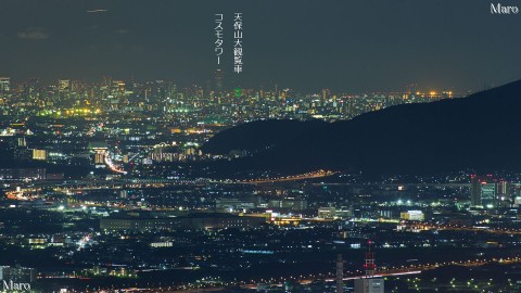 大文字山から大阪のビル群、コスモタワー、天保山大観覧車などを望む 2014年8月
