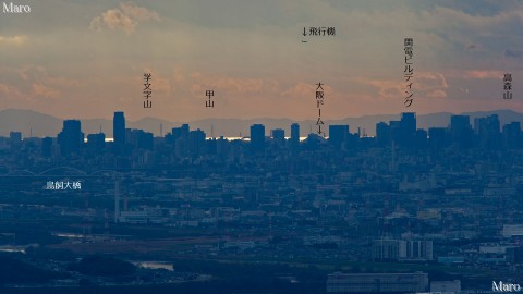 大文字山から大阪湾、和泉山脈西端部、大阪ドームを望む 2010年12月