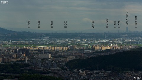 逢坂山から「あべのハルカス」、紀泉アルプスの山々を望む 2014年8月