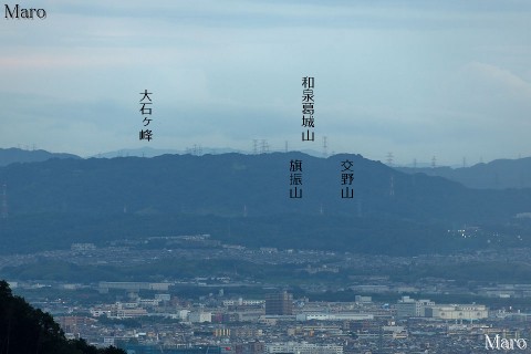 逢坂山から交野山の向こうに和泉葛城山を望む 2014年8月