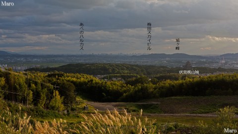 大岩山展望所から伏見桃山城、京都南部、大阪のビル街、「あべのハルカス」を望む 2014年9月