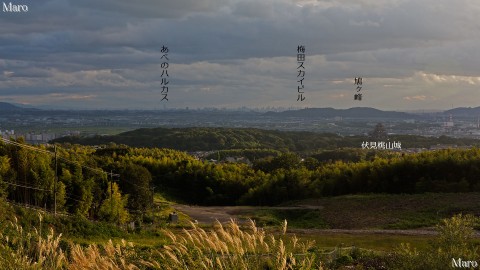 大岩山展望所から伏見桃山城、京都南部、大阪のビル街、「あべのハルカス」を望む 2014年9月