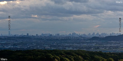 「深草トレイル」大岩山展望所から大阪の高層ビル群を一望する 2014年9月
