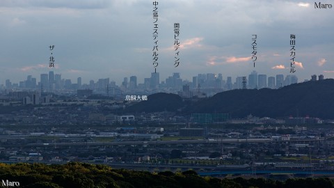 大岩山展望所から主に大阪都心部（梅田、中之島）のビル街を望む 2014年9月