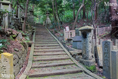 大岩神社 本社道（参道） 「まむし ちゅうい」 京都市伏見区 2014年9月