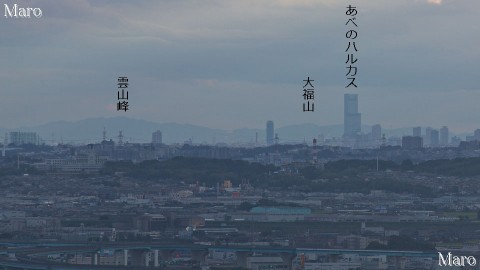 「深草トレイル」大岩山展望所から「あべのハルカス」、紀泉アルプスを望む 2014年9月