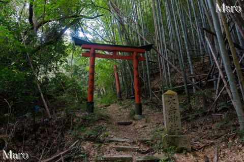 竹藪が茂る大岩神社の参道 京都市伏見区 2014年9月
