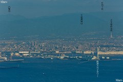 摩耶山から大台ヶ原山、PLの塔、堺市、南港スカイタワーを望む 2014年9月