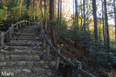 東海自然歩道から「山城北線 三十七番」鉄塔へ 音羽山 2014年11月