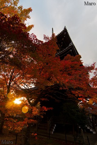 夕日差す真如堂さんの三重塔と紅葉 京都市左京区 2014年11月18日