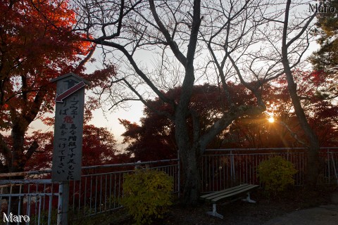 鶴翼山（八幡山）の紅葉と西日 展望資料館 滋賀県近江八幡市 2014年11月