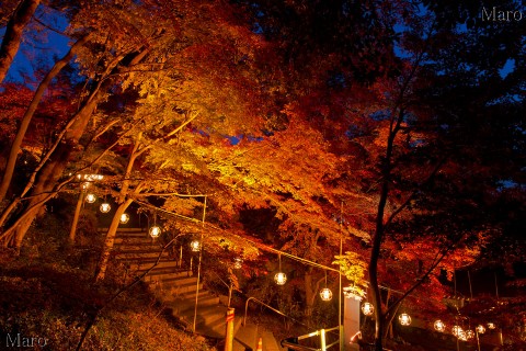 鶴翼山（八幡山）の紅葉ライトアップ 滋賀県近江八幡市 2014年11月