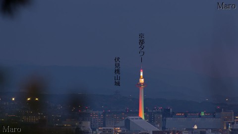 クリスマスカラーの京都タワー、伏見桃山城を船岡山から望む 京都市北区 2014年12月