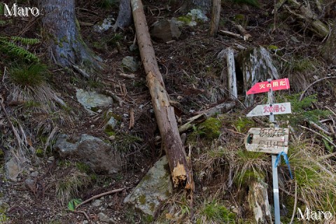 祖父谷の登山口 関電巡視路 桟敷ヶ岳 京都北山 2014年12月