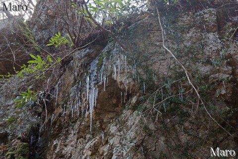 岩場の「つらら」 桟敷ヶ岳 京都北山 2014年12月