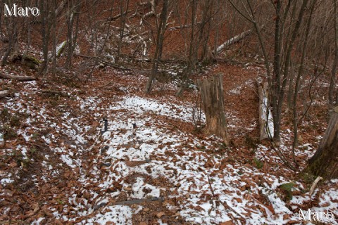 薄く雪が積もる関電さんの巡視路から祖父谷峠へ 桟敷ヶ岳 2014年12月