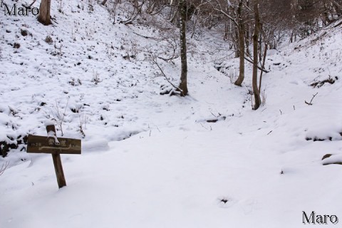 雪の峰床山 八丁平～クラガリ谷～山頂 京都北山 2014年12月