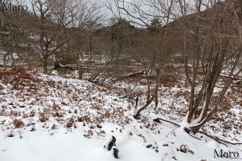 八丁平（高層湿原）も雪景色 京都北山 京都丹波高原国定公園 京都市左京区 2014年12月