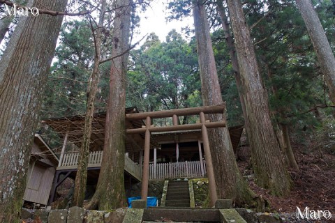 大原百井の思子淵神社さん 安曇川のシコブチ様 京都府京都市左京区 2014年12月