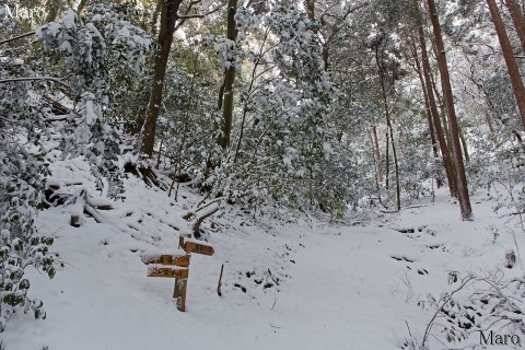 法然院から新雪たっぷりの大文字山、善気山「観察の森」へ 2015年1月2日