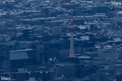 「京都タワーに雪は積もる？」 大文字山から雪が乗った京都タワーを望む 2015年1月