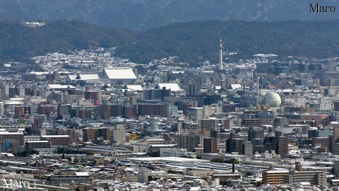 雪積もる小倉山から京都タワー、東本願寺、西本願寺を望む 2015年1月