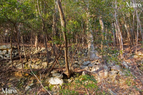 烏ヶ嶽の山中に見える石垣 滋賀県湖南市 2015年1月