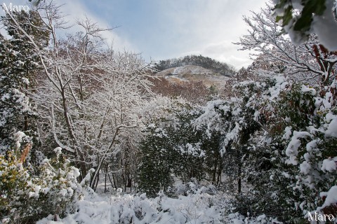 雪の大文字山 「大」の字跡（火床）を善気山から眼前に望む 2011年1月1日