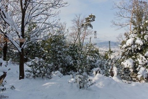 東山三十六峰・積雪する善気山（法然院の裏山）の山頂から京都、愛宕山を望む