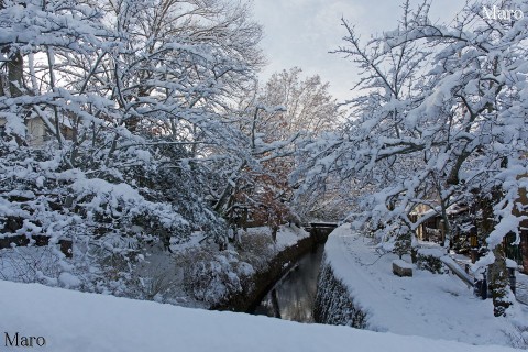 2015年1月2日の朝、雪積もる哲学の道 京都市左京区