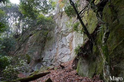 瓜生山（茶山）の切り立った岩壁 真っ白な白川石の露頭 近景 2015年2月