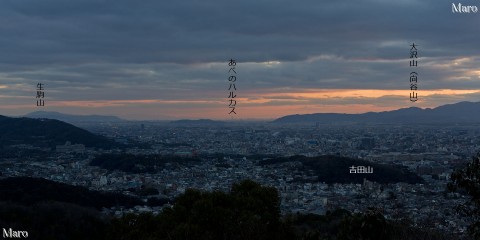 東山三十六峰 瓜生山、茶山の展望、夜景 京都、大阪、あべのハルカス、生駒山など