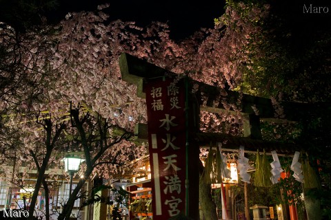 京都の桜 夜桜観賞 水火天満宮 枝垂桜 京都市上京区 2015年3月31日