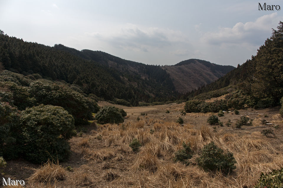 家老平（小太郎谷源頭）の景色 山上に広がる草原 鈴鹿山脈 2015年3月