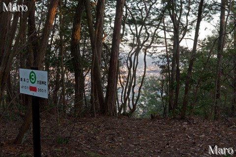 「大田の小径」道標番号「3」 大田神社裏山の山頂 標高点161m 2015年3月
