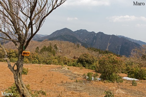御所平の山頂から仙ヶ岳を望む 鈴鹿山脈 滋賀県甲賀市、三重県亀山市 2015年3月